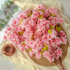 Sakura Bloesemtakken Design